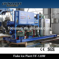 Poultry processing 20 Tons large scale industry flake ice machine